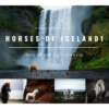Postkarten Set- Horses of Iceland 1-0