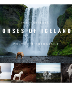 Postkarten Set- Horses of Iceland 1-0